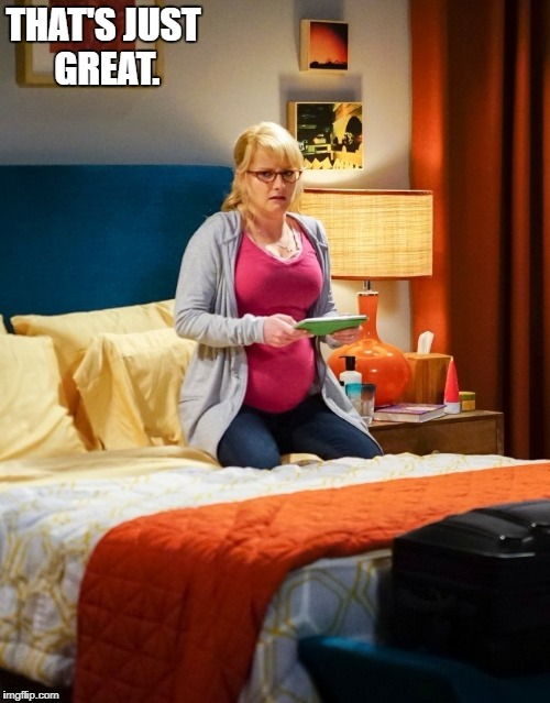 Melissa Rauch The Big Bang Theory | THAT'S JUST GREAT. | image tagged in melissa rauch the big bang theory | made w/ Imgflip meme maker