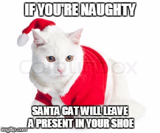 IF YOU'RE NAUGHTY; SANTA CAT WILL LEAVE A PRESENT IN YOUR SHOE | image tagged in santa cat | made w/ Imgflip meme maker