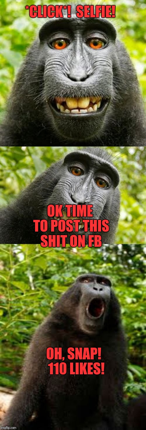 Monkeys with phones  | *CLICK*!  SELFIE! OK TIME TO POST THIS SHIT ON FB; OH, SNAP!  110 LIKES! | image tagged in bad pun monkey,memes,funny,dank,monkey | made w/ Imgflip meme maker