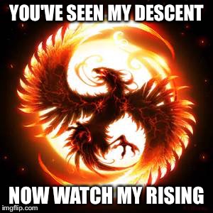 phoenix bird | YOU'VE SEEN MY DESCENT; NOW WATCH MY RISING | image tagged in phoenix bird | made w/ Imgflip meme maker