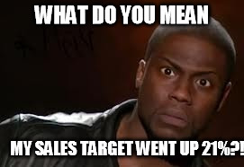Kevin Hart Meme | WHAT DO YOU MEAN; MY SALES TARGET WENT UP 21%?! | image tagged in memes,kevin hart the hell | made w/ Imgflip meme maker