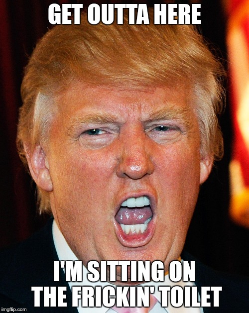 Donald Trump I Will Duck You Up | GET OUTTA HERE; I'M SITTING ON THE FRICKIN' TOILET | image tagged in donald trump i will duck you up | made w/ Imgflip meme maker