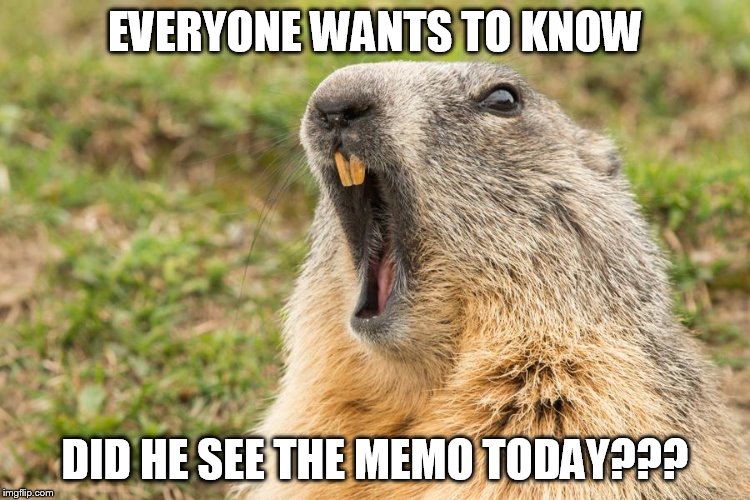 goundhog day | EVERYONE WANTS TO KNOW; DID HE SEE THE MEMO TODAY??? | image tagged in memo | made w/ Imgflip meme maker