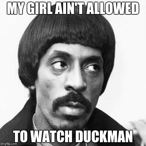 My Girl Ain't Allowed To Watch Duckman | MY GIRL AIN'T ALLOWED; TO WATCH DUCKMAN | image tagged in ike turner | made w/ Imgflip meme maker