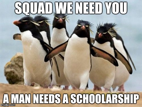 Penguin Gang Meme | SQUAD WE NEED YOU; A MAN NEEDS A SCHOOLARSHIP | image tagged in memes,penguin gang | made w/ Imgflip meme maker