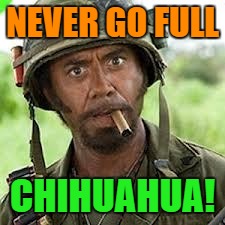 NEVER GO FULL CHIHUAHUA! | made w/ Imgflip meme maker