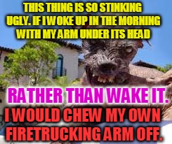 Dingo Ugly | THIS THING IS SO STINKING UGLY. IF I WOKE UP IN THE MORNING WITH MY ARM UNDER ITS HEAD; RATHER THAN WAKE IT. I WOULD CHEW MY OWN FIRETRUCKING ARM OFF. | image tagged in dingo ugly | made w/ Imgflip meme maker