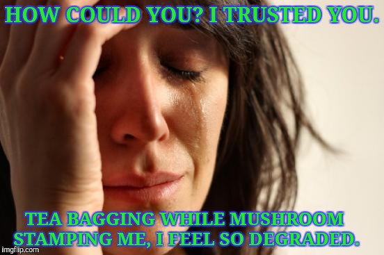 First World Problems Meme | HOW COULD YOU? I TRUSTED YOU. TEA BAGGING WHILE MUSHROOM STAMPING ME, I FEEL SO DEGRADED. | image tagged in memes,first world problems | made w/ Imgflip meme maker