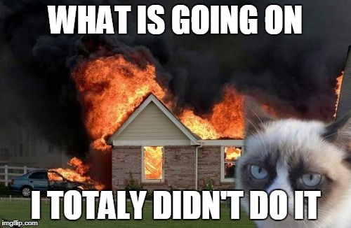 to much cat | WHAT IS GOING ON; I TOTALY DIDN'T DO IT | image tagged in memes,burn kitty,grumpy cat | made w/ Imgflip meme maker