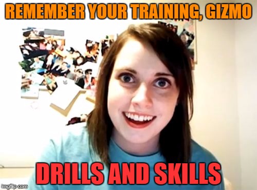 REMEMBER YOUR TRAINING, GIZMO DRILLS AND SKILLS | made w/ Imgflip meme maker