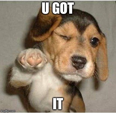 U GOT; IT | image tagged in funny,cute puppy | made w/ Imgflip meme maker