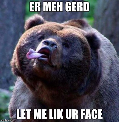 Let me Lik Ur Face | ER MEH GERD; LET ME LIK UR FACE | image tagged in bear | made w/ Imgflip meme maker