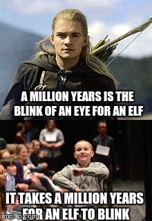That's an actual picture of me on the bottom | A MILLION YEARS IS THE BLINK OF AN EYE FOR AN ELF; IT TAKES A MILLION YEARS FOR AN ELF TO BLINK | image tagged in lord of the rings | made w/ Imgflip meme maker