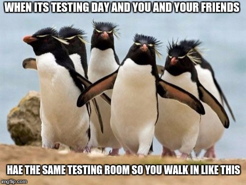 Penguin Gang | WHEN ITS TESTING DAY AND YOU AND YOUR FRIENDS; HAE THE SAME TESTING ROOM SO YOU WALK IN LIKE THIS | image tagged in memes,penguin gang | made w/ Imgflip meme maker
