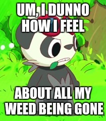 My Weed | UM, I DUNNO HOW I FEEL; ABOUT ALL MY WEED BEING GONE | image tagged in curious pancham,on weed | made w/ Imgflip meme maker