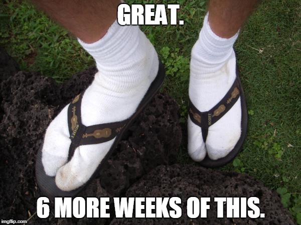 Florida cold weather gear  | GREAT. 6 MORE WEEKS OF THIS. | image tagged in florida cold weather gear | made w/ Imgflip meme maker