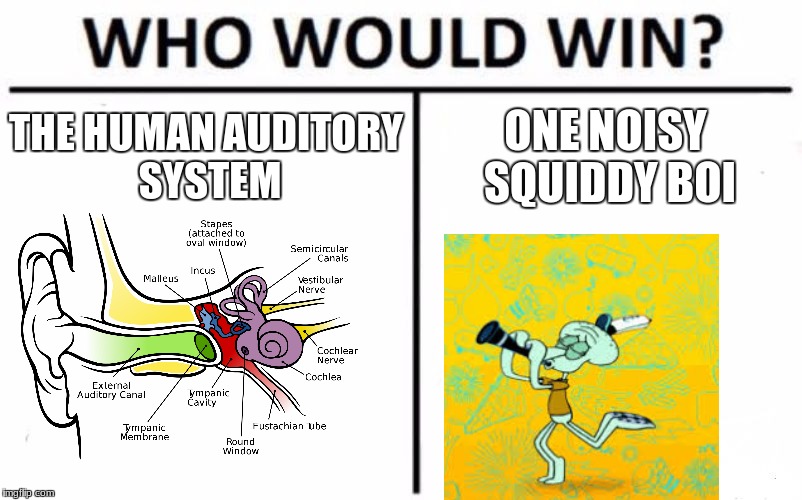 Who Would Win? Meme | THE HUMAN AUDITORY SYSTEM; ONE NOISY SQUIDDY BOI | image tagged in memes,who would win,squidward | made w/ Imgflip meme maker