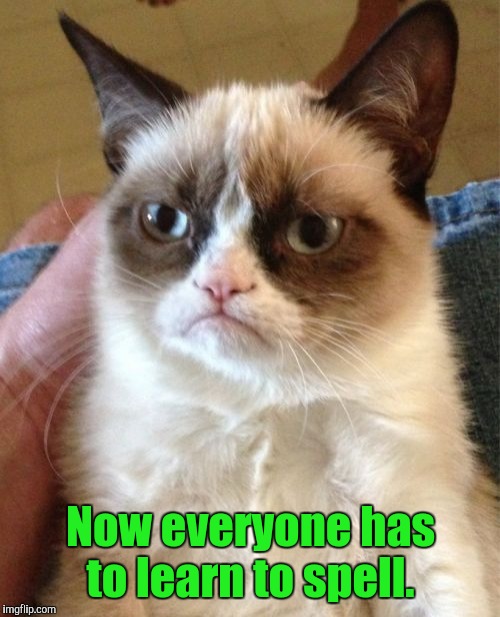 Grumpy Cat Meme | Now everyone has to learn to spell. | image tagged in memes,grumpy cat | made w/ Imgflip meme maker