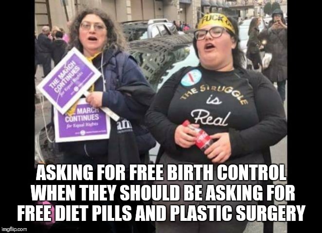 Beauty is Skin Deep but Ugly is to the Bone  | ASKING FOR FREE BIRTH CONTROL WHEN THEY SHOULD BE ASKING FOR FREE DIET PILLS AND PLASTIC SURGERY | image tagged in memes | made w/ Imgflip meme maker