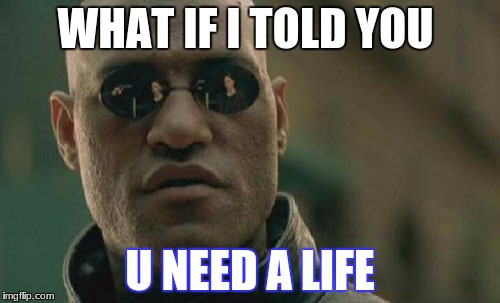 Matrix Morpheus Meme | WHAT IF I TOLD YOU; U NEED A LIFE | image tagged in memes,matrix morpheus | made w/ Imgflip meme maker