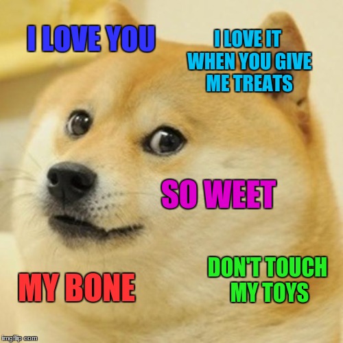Doge Meme | I LOVE IT WHEN YOU GIVE ME TREATS; I LOVE YOU; SO WEET; DON'T TOUCH MY TOYS; MY BONE | image tagged in memes,doge | made w/ Imgflip meme maker