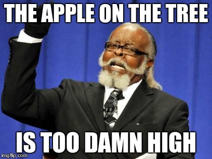 Too Damn High | THE APPLE ON THE TREE; IS TOO DAMN HIGH | image tagged in memes,too damn high | made w/ Imgflip meme maker