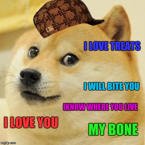 Doge | I LOVE TREATS; I WILL BITE YOU; IKNOW WHERE YOU LIVE; I LOVE YOU; MY BONE | image tagged in memes,doge,scumbag | made w/ Imgflip meme maker