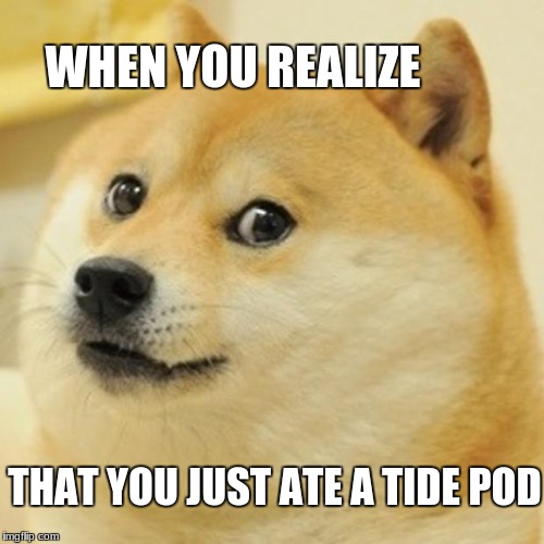 Doge Meme | WHEN YOU REALIZE; THAT YOU JUST ATE A TIDE POD | image tagged in memes,doge | made w/ Imgflip meme maker