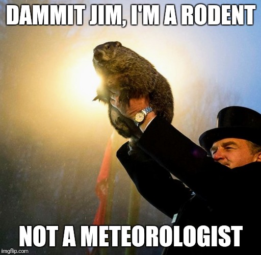 Groundhog Day | DAMMIT JIM, I'M A RODENT; NOT A METEOROLOGIST | image tagged in groundhog day,february,winter | made w/ Imgflip meme maker