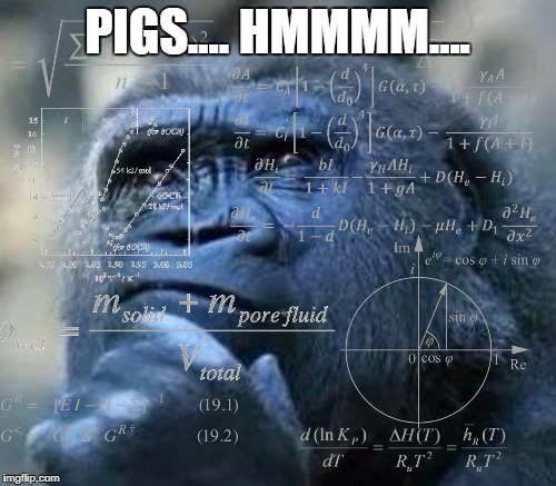 PIGS.... HMMMM.... | made w/ Imgflip meme maker