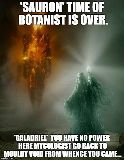 'SAURON' TIME OF BOTANIST IS OVER. 'GALADRIEL'  YOU HAVE NO POWER HERE MYCOLOGIST GO BACK TO MOULDY VOID FROM WHENCE YOU CAME... | image tagged in botanist | made w/ Imgflip meme maker