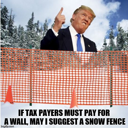 Trump's Wall | IF TAX PAYERS MUST PAY FOR A WALL, MAY I SUGGEST A SNOW FENCE | image tagged in trump | made w/ Imgflip meme maker