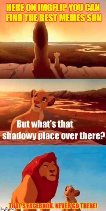 Simba Shadowy Place Meme | HERE ON IMGFLIP YOU CAN FIND THE BEST MEMES SON; THAT'S FACEBOOK. NEVER GO THERE! | image tagged in memes,simba shadowy place | made w/ Imgflip meme maker