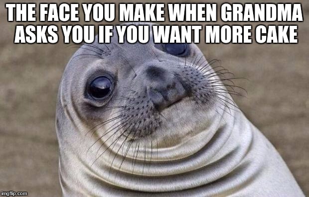 Awkward Moment Sealion | THE FACE YOU MAKE WHEN GRANDMA ASKS YOU IF YOU WANT MORE CAKE | image tagged in memes,awkward moment sealion | made w/ Imgflip meme maker