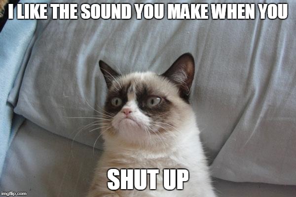 Grumpy Cat Bed | I LIKE THE SOUND YOU MAKE WHEN YOU; SHUT UP | image tagged in memes,grumpy cat bed,grumpy cat | made w/ Imgflip meme maker