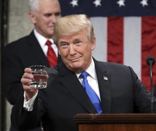 High Quality Trump cheers Blank Meme Template