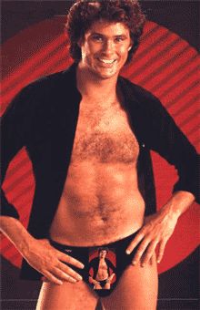 Infinite Hoff Crotch Blank Meme Template