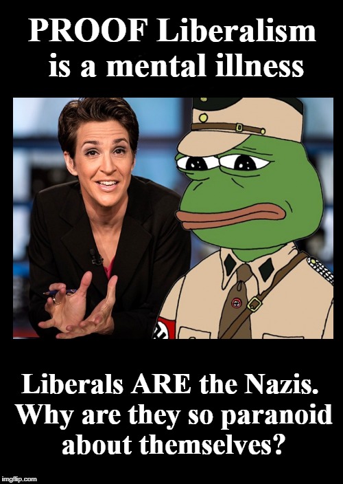 Liberals ARE the Nazis | PROOF Liberalism is a mental illness; Liberals ARE the Nazis. Why are they so paranoid about themselves? | image tagged in liberals are nazis,nazi  national socialism,liberalism is a mental illness | made w/ Imgflip meme maker