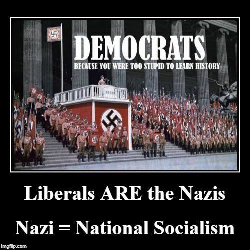 Liberals ARE the Nazis | Liberals ARE the Nazis | Nazi = National Socialism | image tagged in nazi  national socialism,liberals are nazis,democrats,liberals are ignorant | made w/ Imgflip demotivational maker