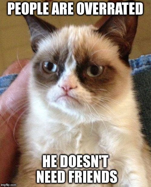 Grumpy Cat Meme | PEOPLE ARE OVERRATED HE DOESN'T NEED FRIENDS | image tagged in memes,grumpy cat | made w/ Imgflip meme maker
