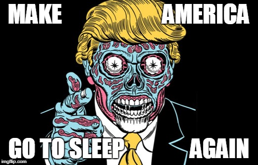 MAKE                       AMERICA; GO TO SLEEP               AGAIN | image tagged in trump | made w/ Imgflip meme maker