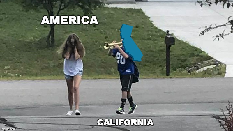'Murica! | AMERICA; CALIFORNIA | image tagged in trumpet boy object labeling,memes,funny,california,politics | made w/ Imgflip meme maker