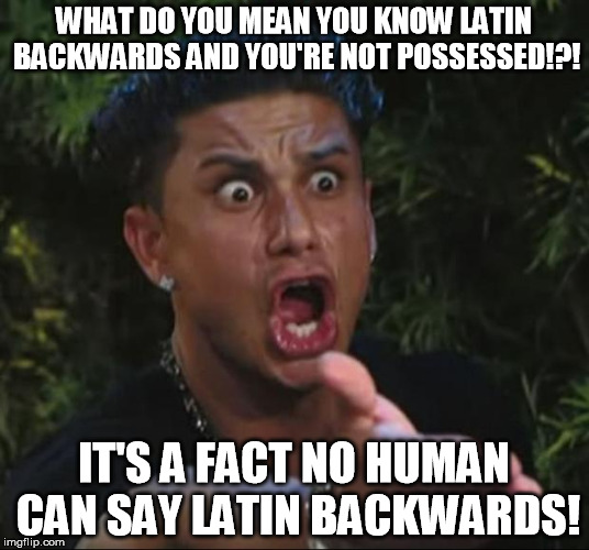 Probably a kick-ass person then Pauly. | WHAT DO YOU MEAN YOU KNOW LATIN BACKWARDS AND YOU'RE NOT POSSESSED!?! IT'S A FACT NO HUMAN CAN SAY LATIN BACKWARDS! | image tagged in memes,dj pauly d | made w/ Imgflip meme maker