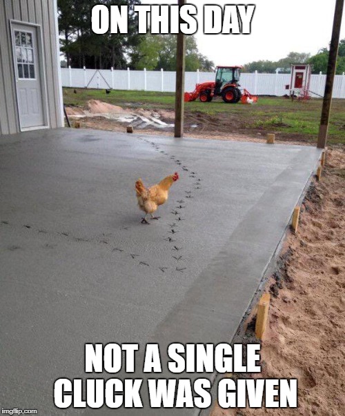 No Clucking Way | ON THIS DAY; NOT A SINGLE CLUCK WAS GIVEN | image tagged in chicken | made w/ Imgflip meme maker