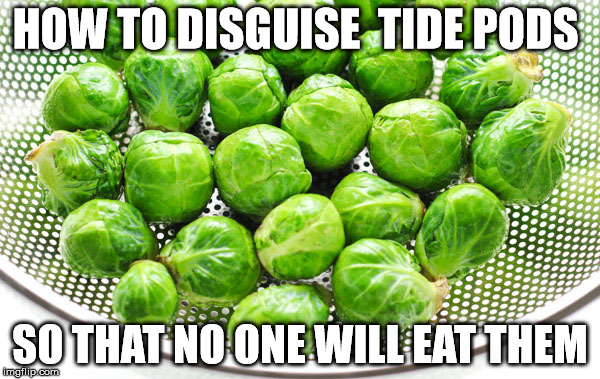 HOW TO DISGUISE  TIDE PODS; SO THAT NO ONE WILL EAT THEM | image tagged in tide pods | made w/ Imgflip meme maker