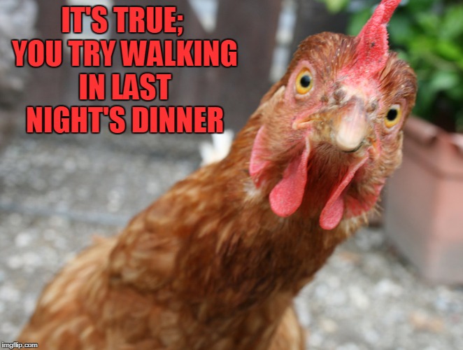 IT'S TRUE; YOU TRY WALKING IN LAST NIGHT'S DINNER | made w/ Imgflip meme maker