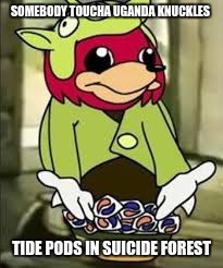 SOMEBODY TOUCHA UGANDA KNUCKLES TIDE PODS IN SUICIDE FOREST | made w/ Imgflip meme maker