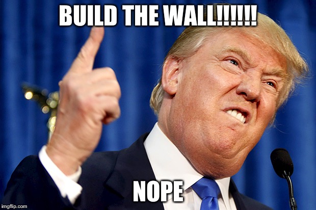 Donald Trump | BUILD THE WALL!!!!!! NOPE | image tagged in donald trump | made w/ Imgflip meme maker