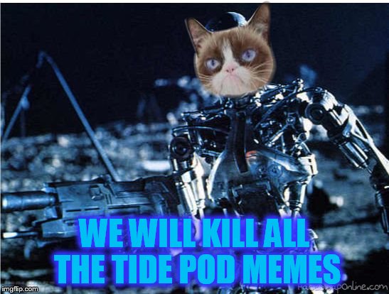 grump cat terminator | WE WILL KILL ALL THE TIDE POD MEMES | image tagged in grump cat terminator | made w/ Imgflip meme maker