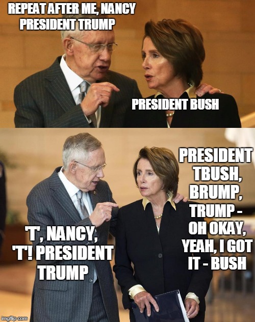 How is SNL Ignoring This??? | REPEAT AFTER ME, NANCY; PRESIDENT TRUMP; PRESIDENT BUSH; PRESIDENT TBUSH, BRUMP, TRUMP - OH OKAY, YEAH, I GOT IT - BUSH; 'T', NANCY, 'T'! PRESIDENT TRUMP | image tagged in harry and nancy | made w/ Imgflip meme maker